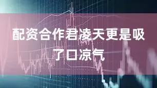 配资合作君凌天更是吸了口凉气