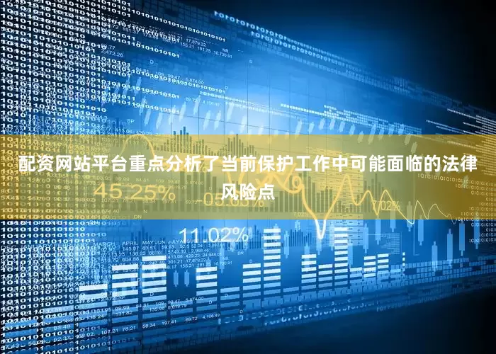 配资网站平台重点分析了当前保护工作中可能面临的法律风险点