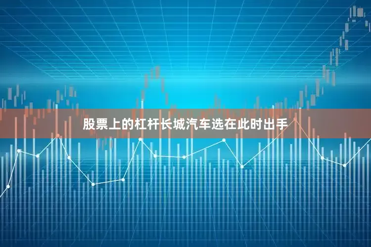 股票上的杠杆长城汽车选在此时出手